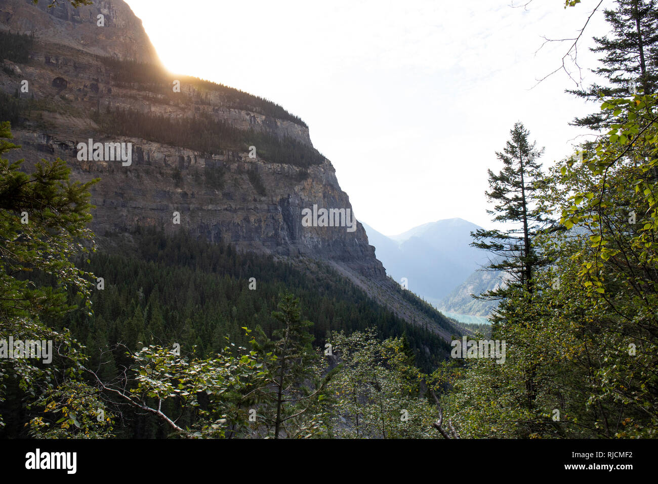 Kanada, British Columbia, Monte Robson Provincial Park, Kanadische Montagne Rocciose Foto Stock