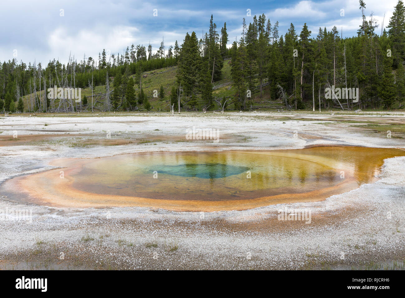 Batteri termofili nel Parco Nazionale di Yellowstone, Wyoming USA Foto Stock
