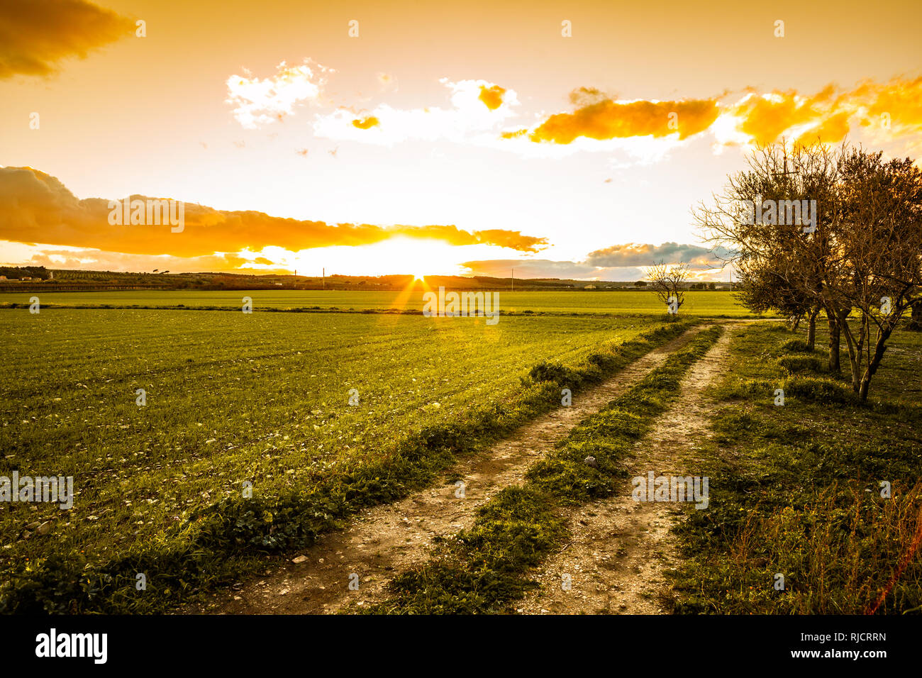 Tramonto su un campo Paese sulle Murge, Puglia, Italia Foto Stock