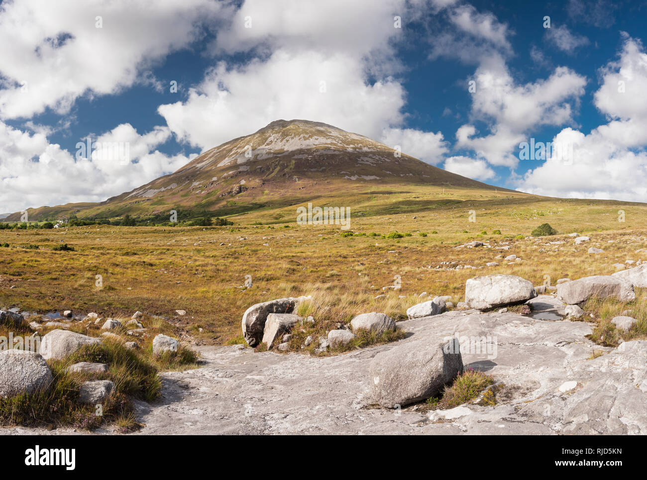 Guardando verso il Mount Errigal, uno dell'Irlanda più iconica montagne, da affioramento di principale di granito di Donegal vicino Dunlewy, County Donegal, Irlanda Foto Stock
