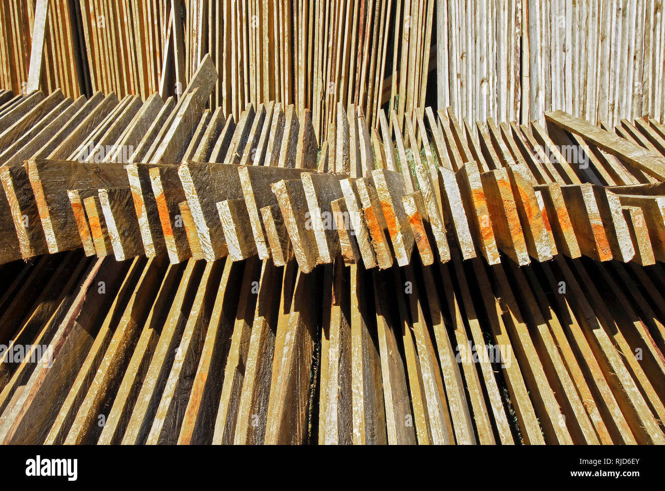 Tagliare e contrassegnati in legno di pino plance posati per essiccazione al sole, visto vicino Sagada Città, Provincia di montagna, Filippine Foto Stock
