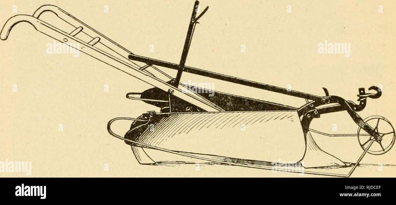 . La cultura di sedano; una pratica trattato dei principi coinvolti nella produzione di sedano per uso domestico e per il mercato, ivi compresa la selezione del suolo, la produzione di piante, la coltivazione, il controllo di insetti e malattie, di marketing e di usi. Il sedano. 9o sedano cultura pezzi brevi di canniccio attraverso la parte superiore di ogni 6 o 8 piedi o da bastoncini di tacche collocato al di sopra della sommità delle piastre. Un metodo migliore di tenere le schede per- mi^etere è mediante l'uso di doppi ganci o chiavi di manovra quasi 8 pollici di lunghezza e fatta di pesanti galvan- virtualizzato filo. Queste chiavi sono scivolato sopra i bordi superiori dei pannelli a Foto Stock