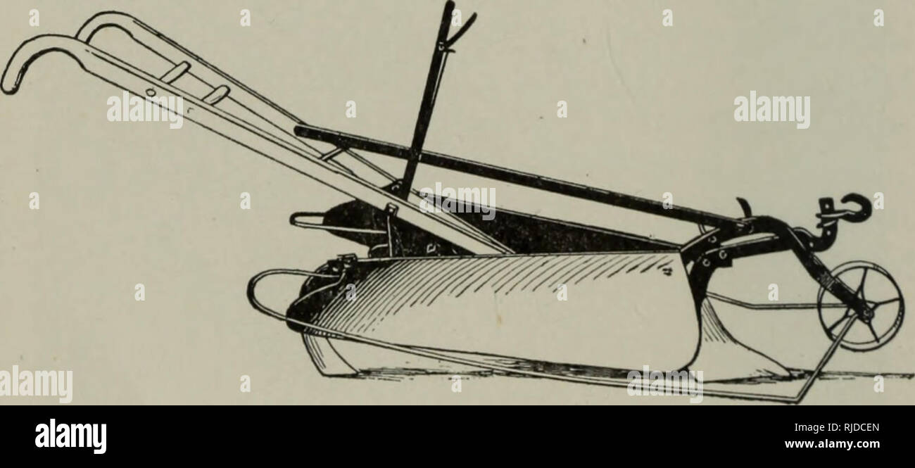 . La cultura di sedano; una pratica trattato dei principi coinvolti nella produzione di sedano per uso domestico e per il mercato, ivi compresa la selezione del suolo, la produzione di piante, la coltivazione, il controllo di insetti e malattie, di marketing e di usi. Il sedano. 98 sedano cultura pezzi brevi di canniccio attraverso la parte superiore di ogni 6 o 8 piedi o da bastoncini di tacche collocato al di sopra della sommità delle piastre. Un metodo migliore di tenere le schede per- gether è mediante l'uso di doppi ganci o chiavi di manovra quasi 8 pollici di lunghezza e fatta di pesanti galvan- virtualizzato filo. Queste chiavi sono scivolato sopra i bordi superiori dei pannelli a i Foto Stock