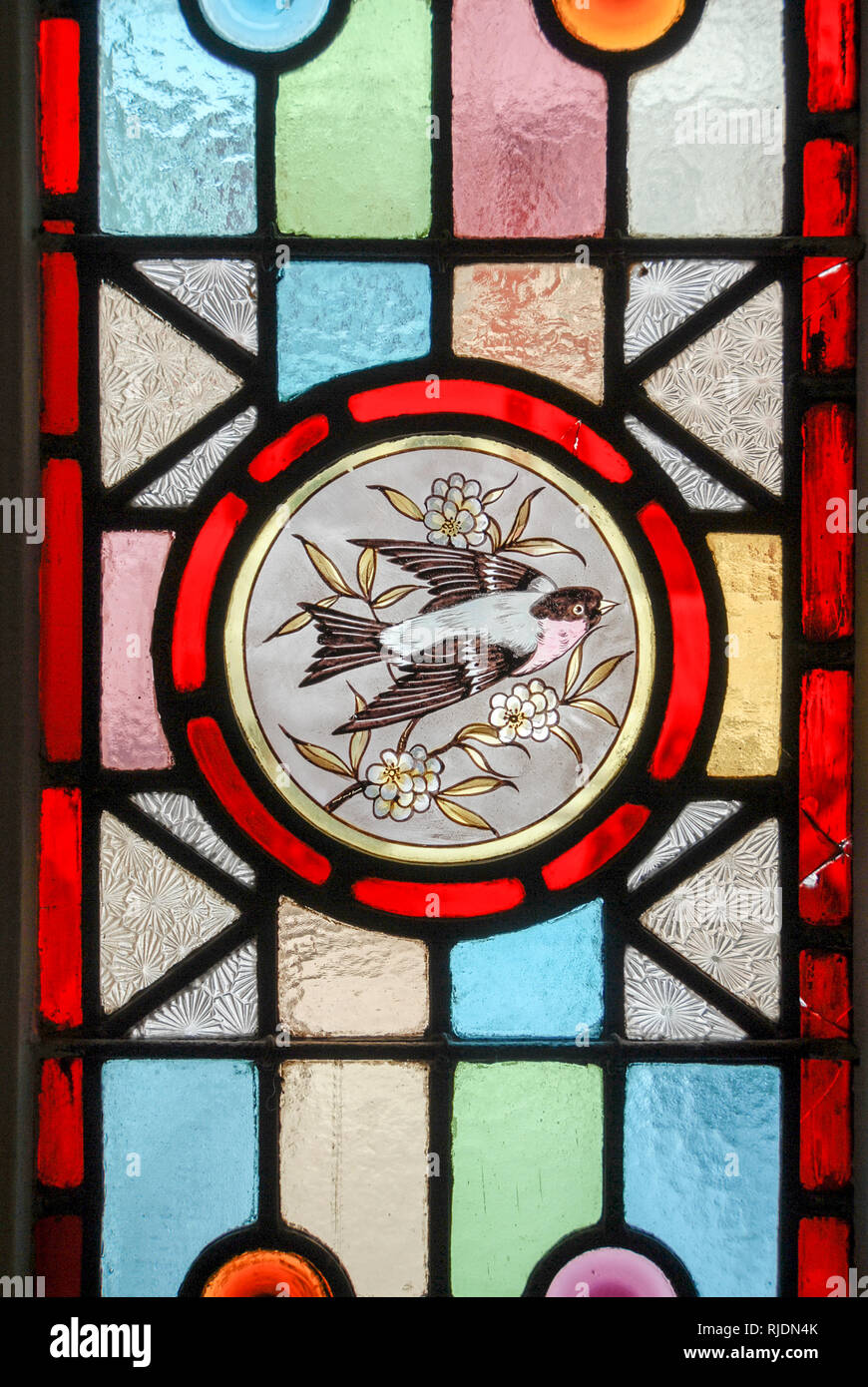 Piombati variopinti vetro macchiato come una finestra in stile vittoriano/ Edwardian porta domestico con un inserto di un comune British bird. Foto Stock