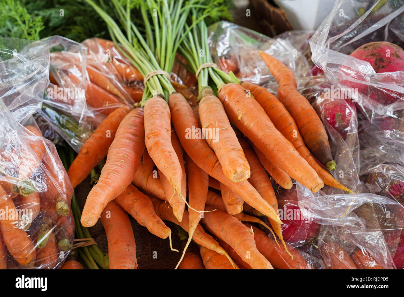 Le carote fresche per la vendita in un mercato degli agricoltori Foto Stock