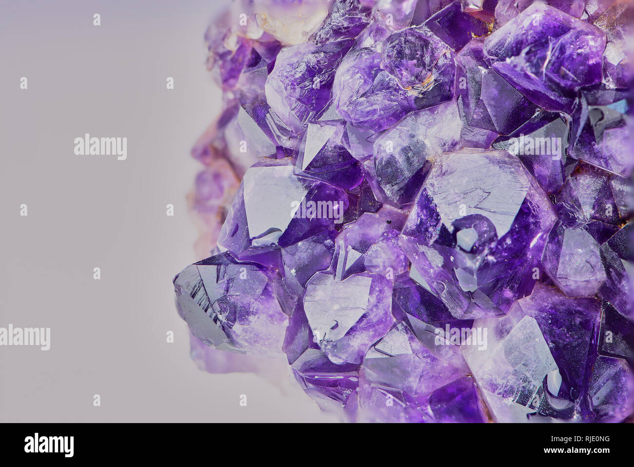 Macro foto a colori di ametista con impilamento di messa a fuoco contro uno sfondo bianco Foto Stock