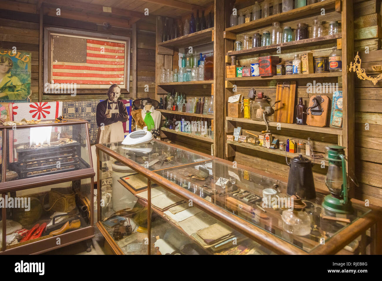 Interno del Museo a Crowley Museo e Centro Natura vicino a Sarasota Florida Foto Stock