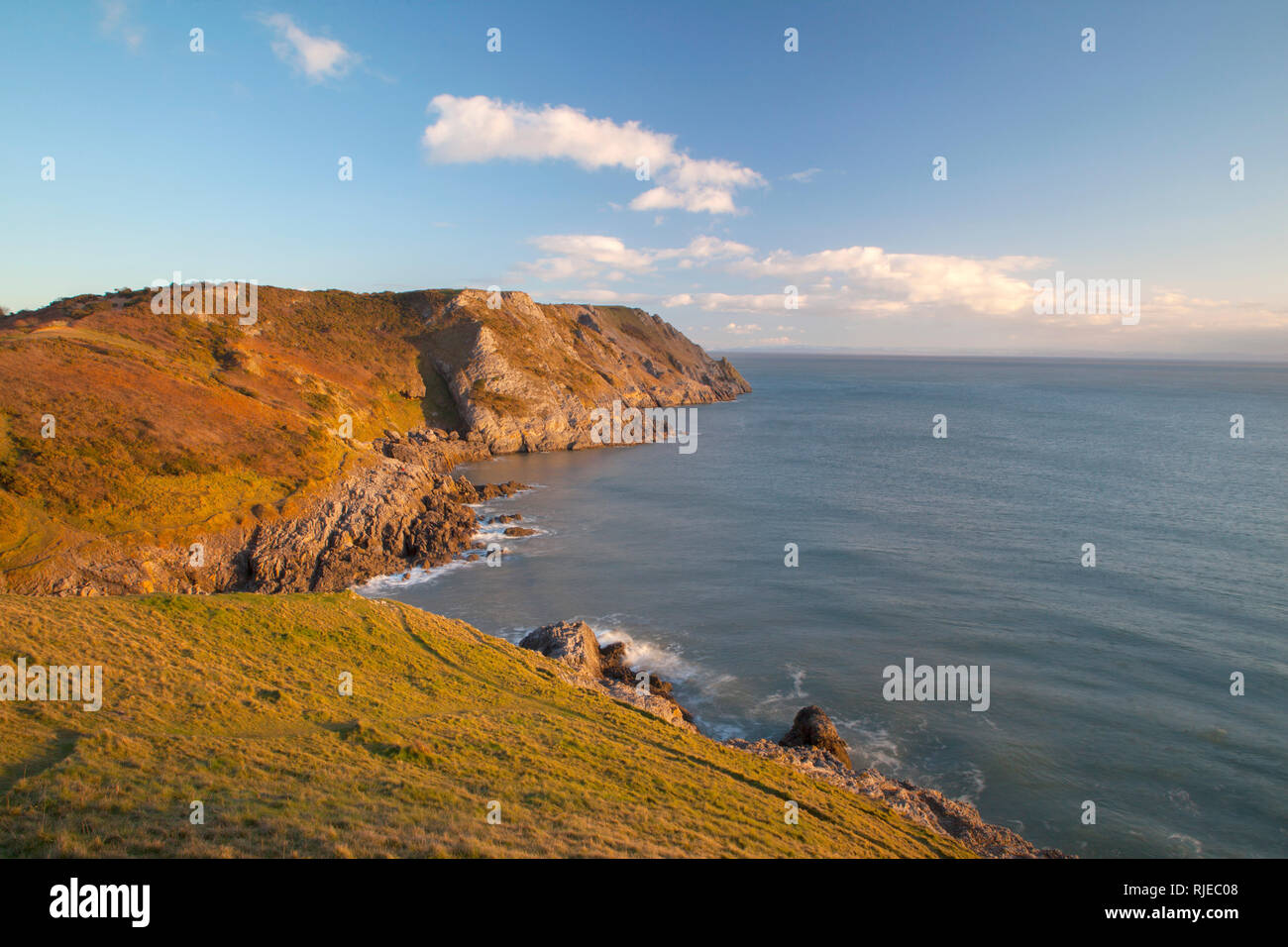 Pobbles Bay nei pressi di Three Cliffs Bay, guardando verso est lungo le scogliere calcaree, Gower, Swansea, Galles, febbraio. Foto Stock