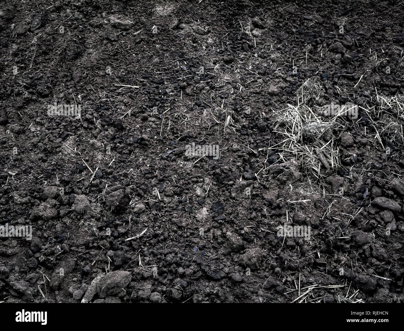 Terra nera immagini e fotografie stock ad alta risoluzione - Alamy