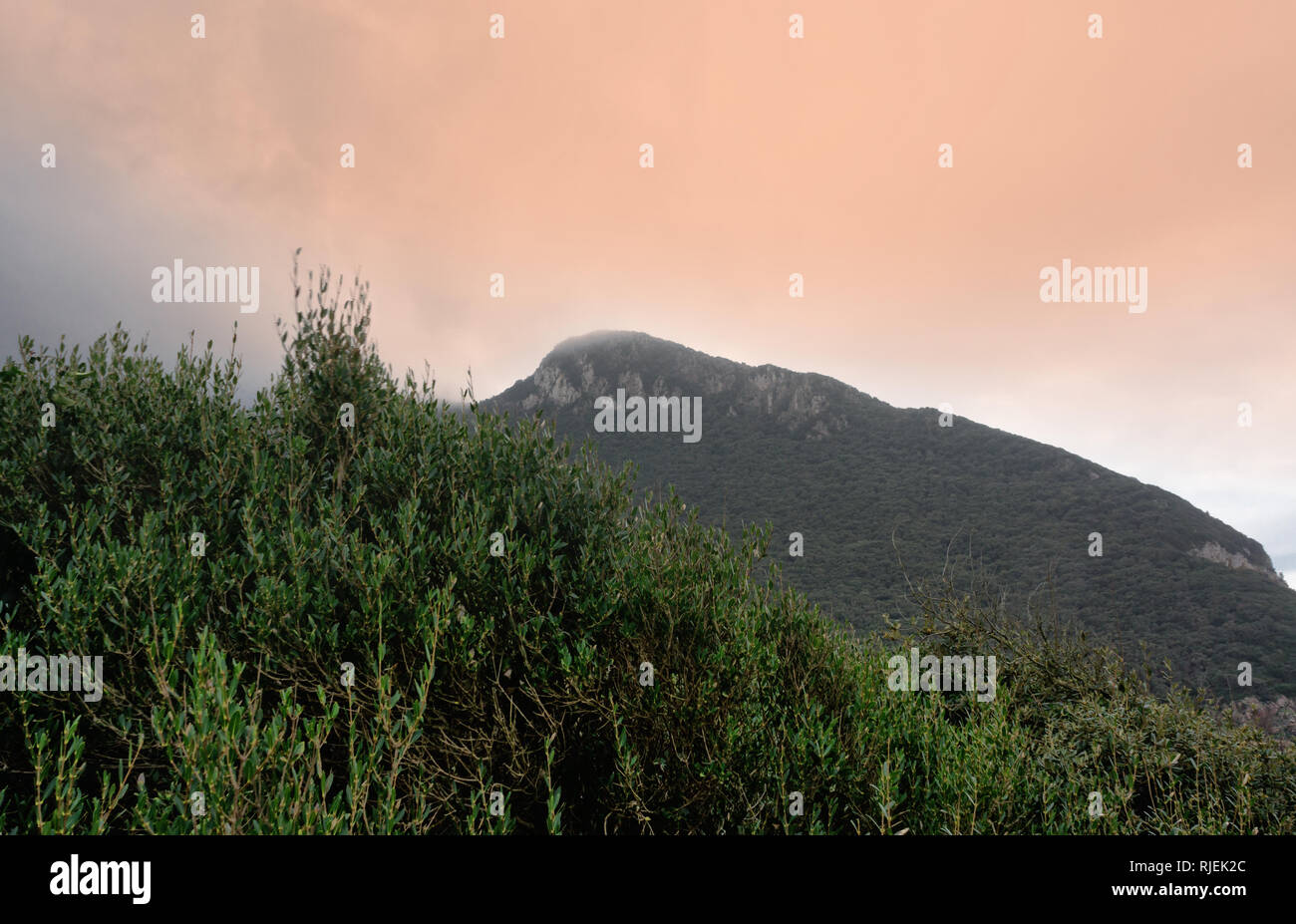 Cima della montagna- Capo Circeo- Latina - Italia Foto Stock