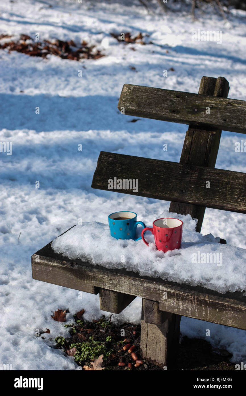 Rosso e blu con tazze di caffè sulla panchina del parco coperto con la neve sulla montagna Kosmaj Foto Stock