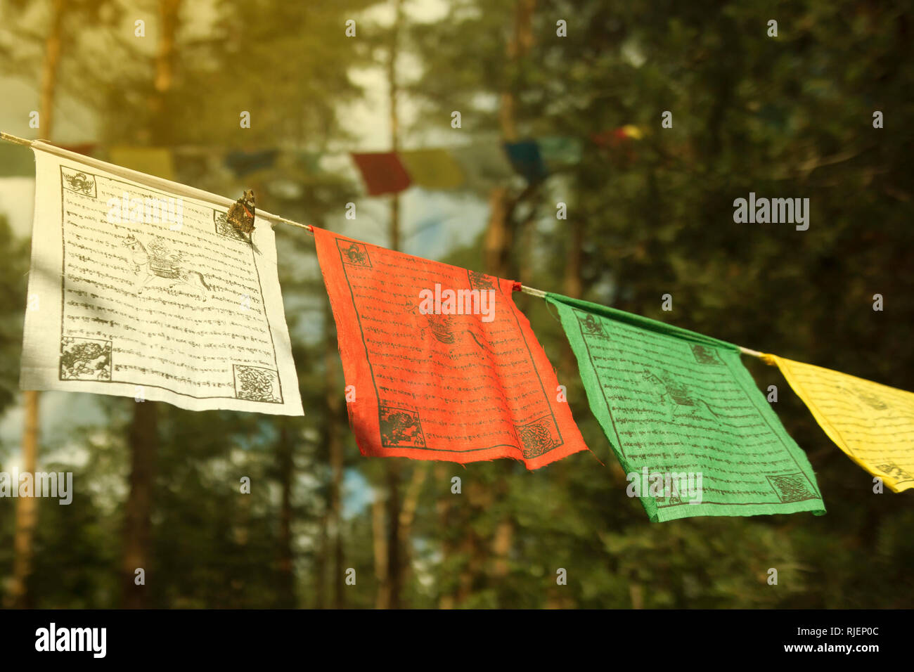 Colorati bandiere di preghiera (lungta/darcho) della filosofia buddista con testo sfocato nel vento. Il red admiral butterfly (Vanessa Atalanta) si siede su una Pentecoste Foto Stock