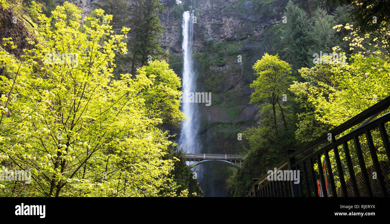 Multnomah scende al di sotto del ponte Foto Stock