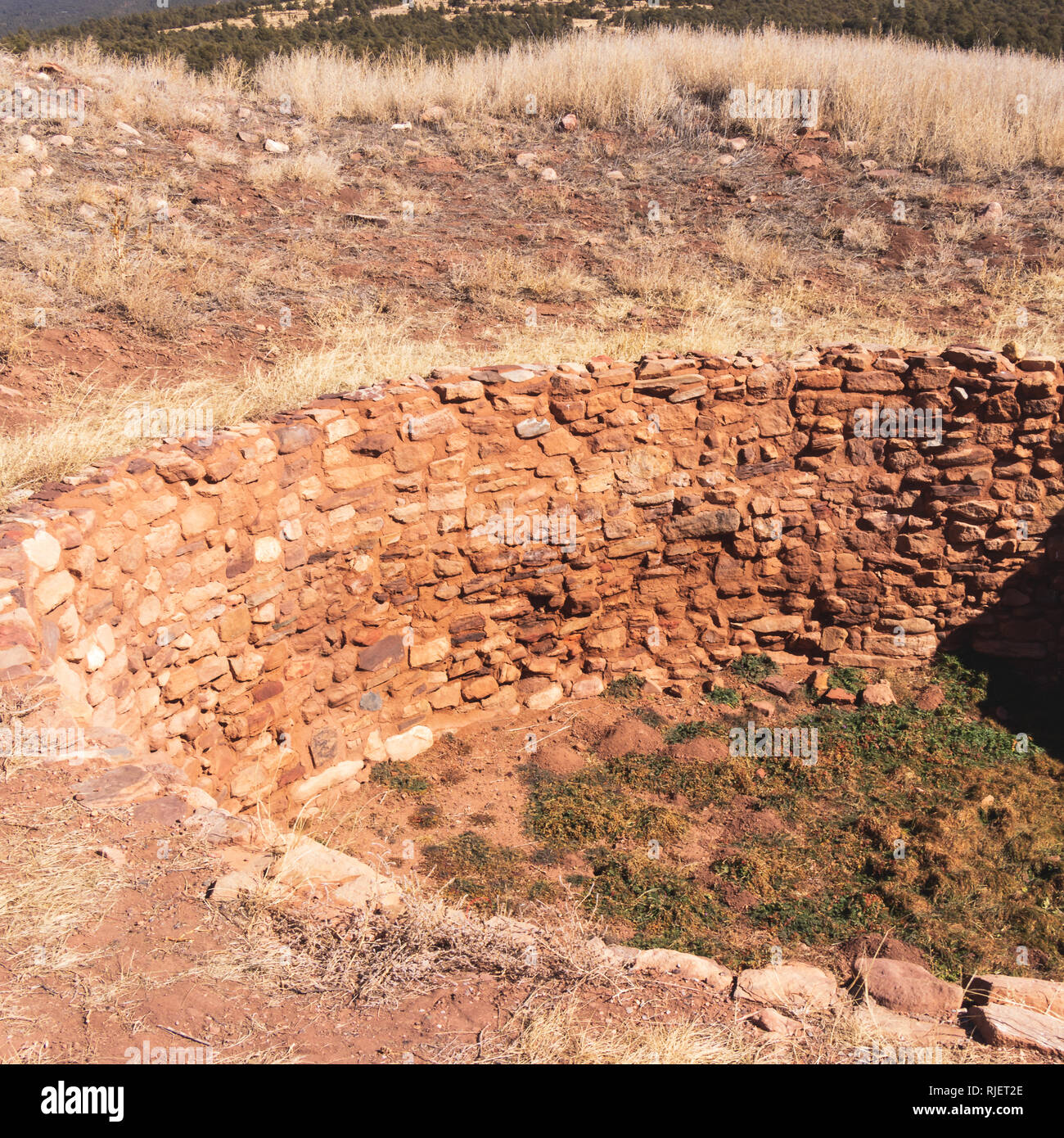 Antichi Kiva vicino a Pueblo, Nuovo Messico Foto Stock