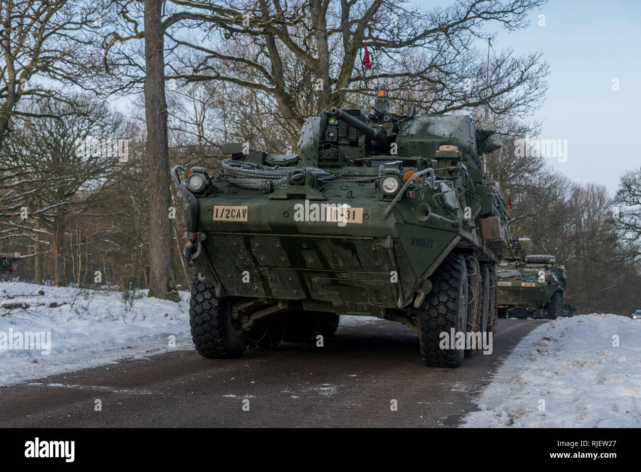 I soldati assegnati al Bravo truppa, 1° Stormo, 2d della Cavalleria da Vilseck, Germania, per preparare un fuoco vivo esercizio sul campo 35 al Baumholder zona di addestramento militare, Baumholder, Germania, 4 febbraio , 2019. 1/2CR sta attualmente conducendo il funzionamento Kriegsadler per sviluppare il plotone di livello proficiency tattici, squadrone di supporto e di efficacia organizzativa generale la letalità. (U.S. Foto dell'esercito da Erich Backes). Foto Stock