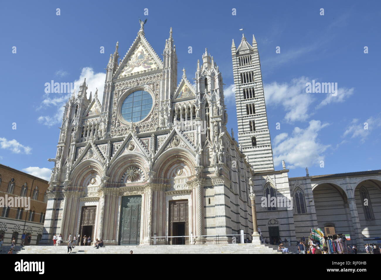 Cattedrale di Pisa (Italia) Foto Stock