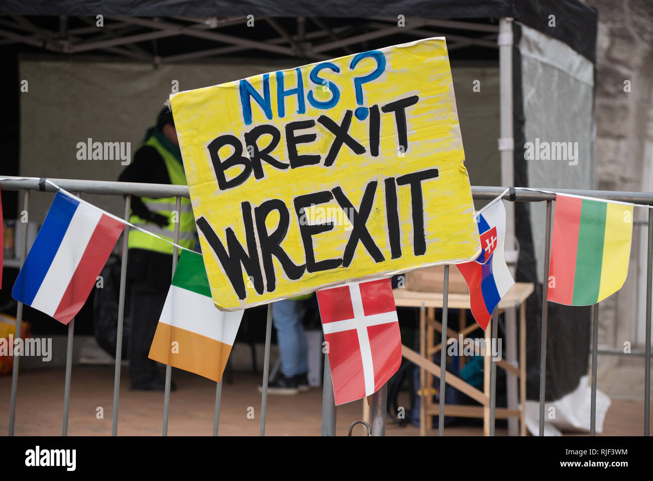 Una targhetta mettendo in evidenza il costo di Brexit per il Servizio Sanitario Nazionale presso il '#BinBrexitInBrum' dimostrazione in Birmingham, Regno Unito sul Sund Foto Stock