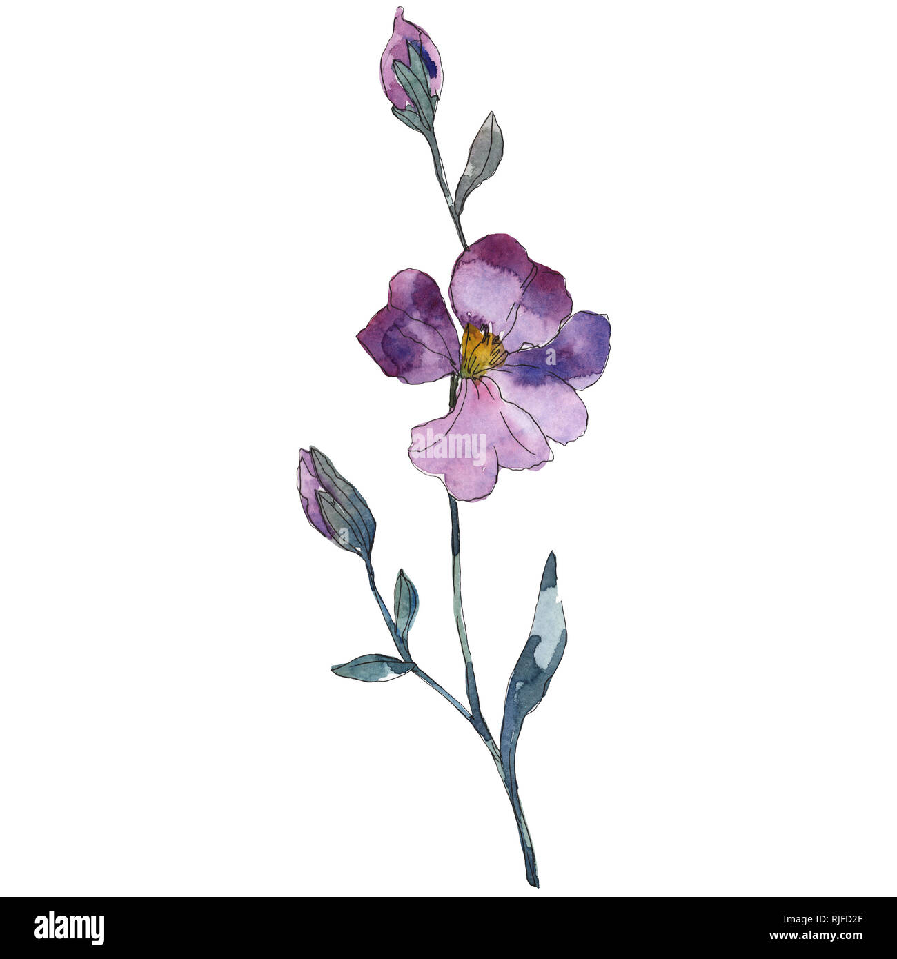 Purple flower tattoo Immagini senza sfondo e Foto Stock ritagliate - Alamy