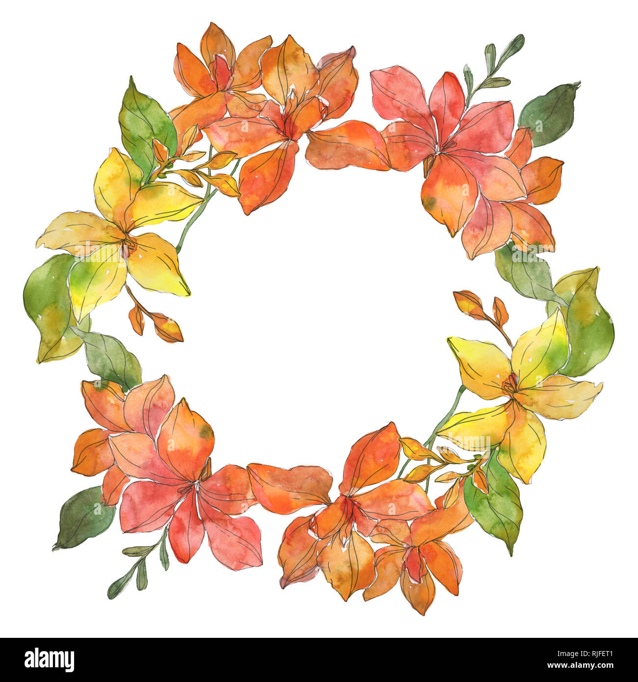 Rosso e giallo tropicale botanico floreale di fiori. Wild molla a balestra di fiori selvaggi isolati. Acquerello illustrazione dello sfondo impostato. Disegno ad acquerello fa Foto Stock