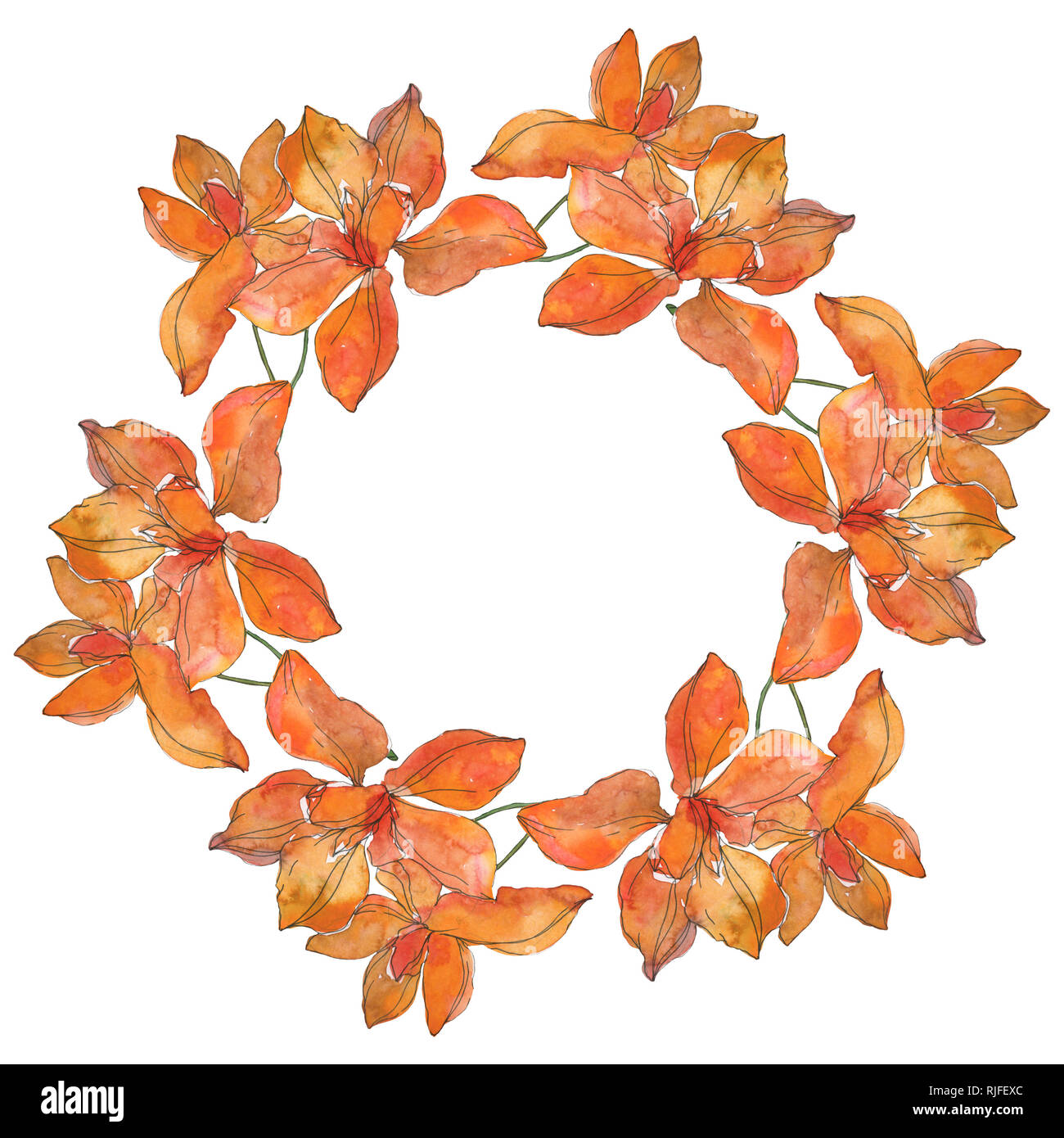 Rosso e giallo tropicale botanico floreale di fiori. Wild molla a balestra di fiori selvaggi isolati. Acquerello illustrazione dello sfondo impostato. Disegno ad acquerello fa Foto Stock