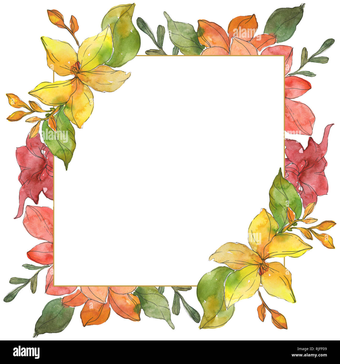 Rosso e giallo tropicale botanico floreale di fiori. Wild molla a balestra di fiori selvaggi isolati. Acquerello illustrazione dello sfondo impostato. Disegno ad acquerello fa Foto Stock