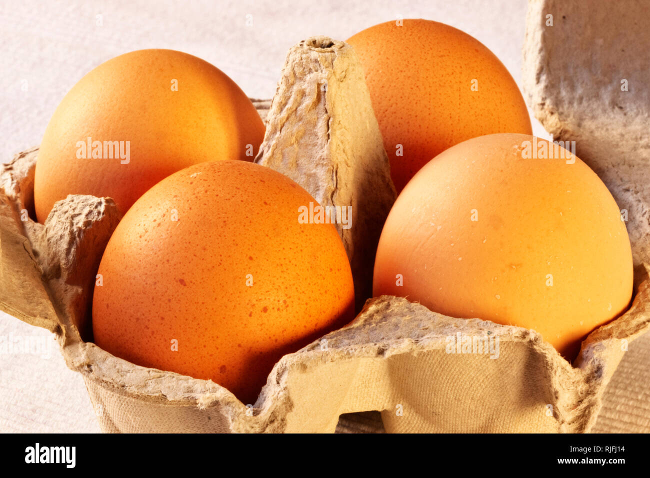 Vista frontale delle uova in cartone su un panno bianco sfondo , bella luce e ombre sul guscio d'uovo Foto Stock