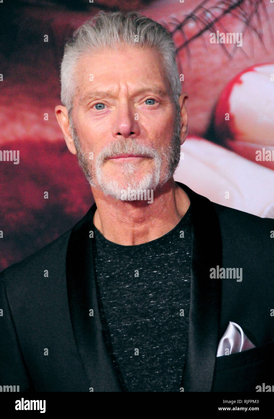 Los Angeles, Stati Uniti d'America. 05 feb 2019. Attore Stephen Lang assiste XX Century Fox "alita: Battle Angel' Premiere il 5 febbraio 2019 a Westwood Village Regency Theatre di Los Angeles, California. Credito: Barry re/Alamy Live News Foto Stock