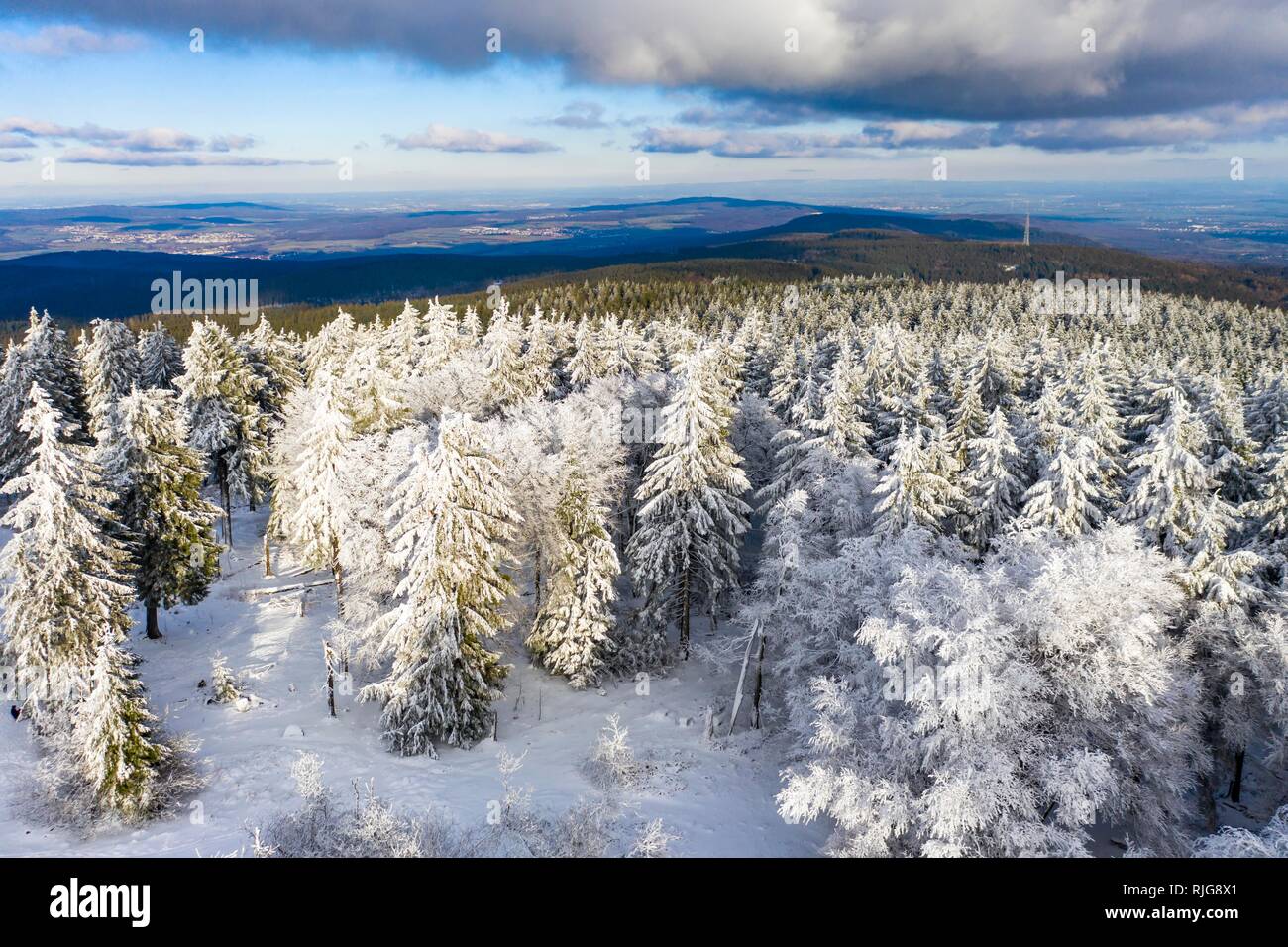 Drone shot, neve alberi coperti dal di sopra in inverno, Taunus, Hesse, Germania Foto Stock