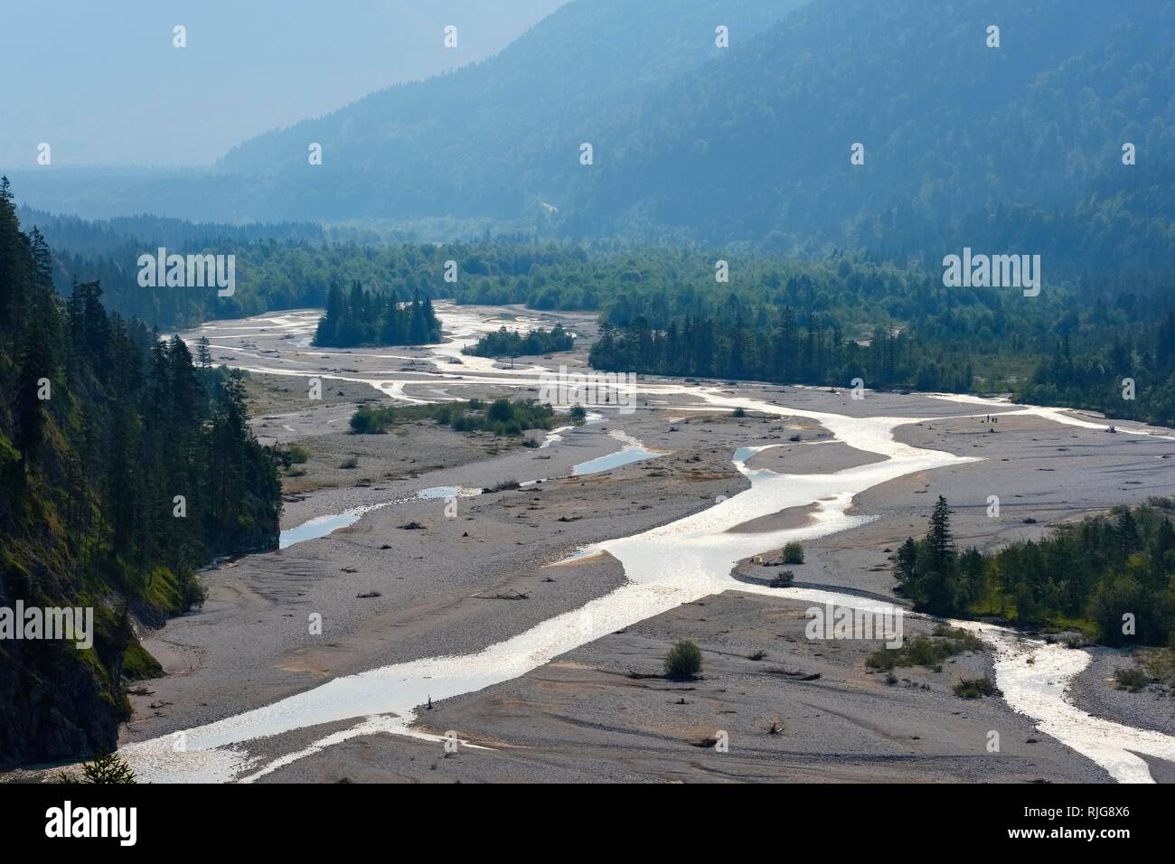 Riverbed dell'Isar, il fiume selvaggio vicino Vorderriß, vicino Lenggries, Isarwinkel, Alta Baviera, Baviera, Germania Foto Stock