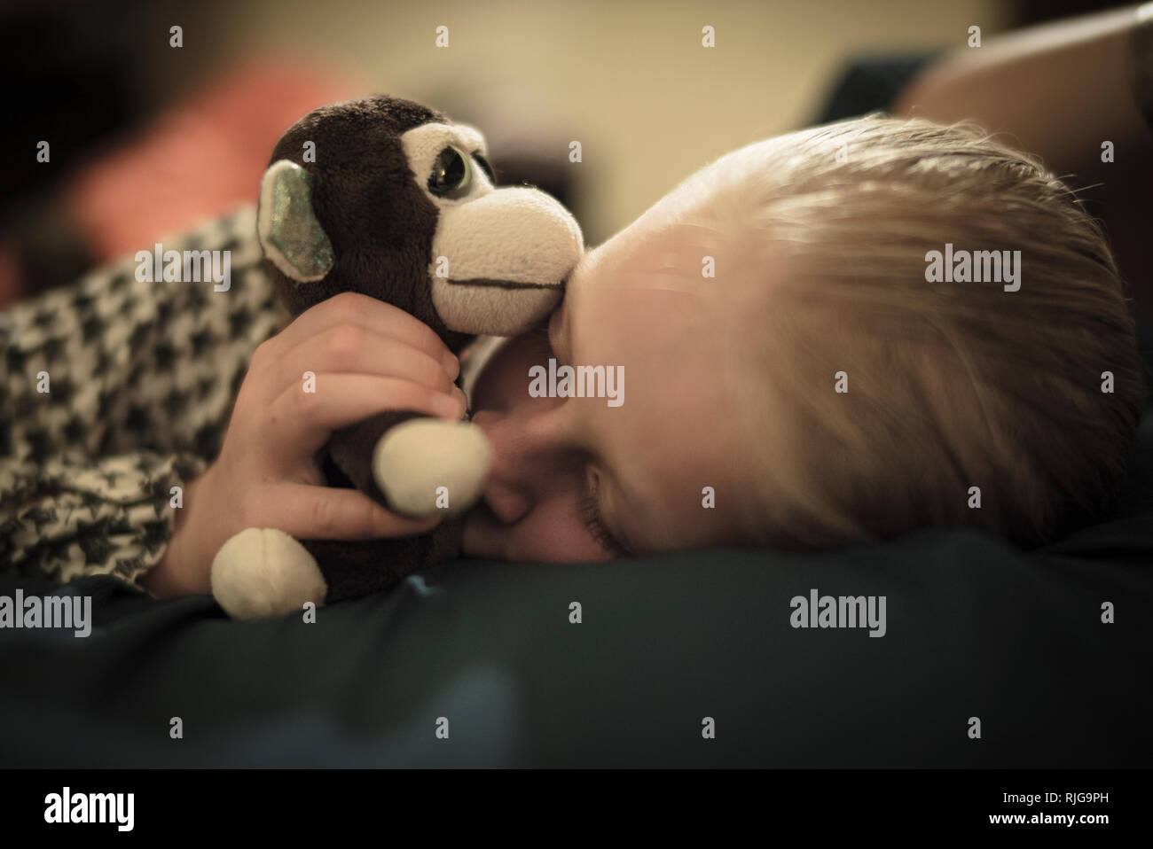 Ragazza dorme con peluche Foto Stock