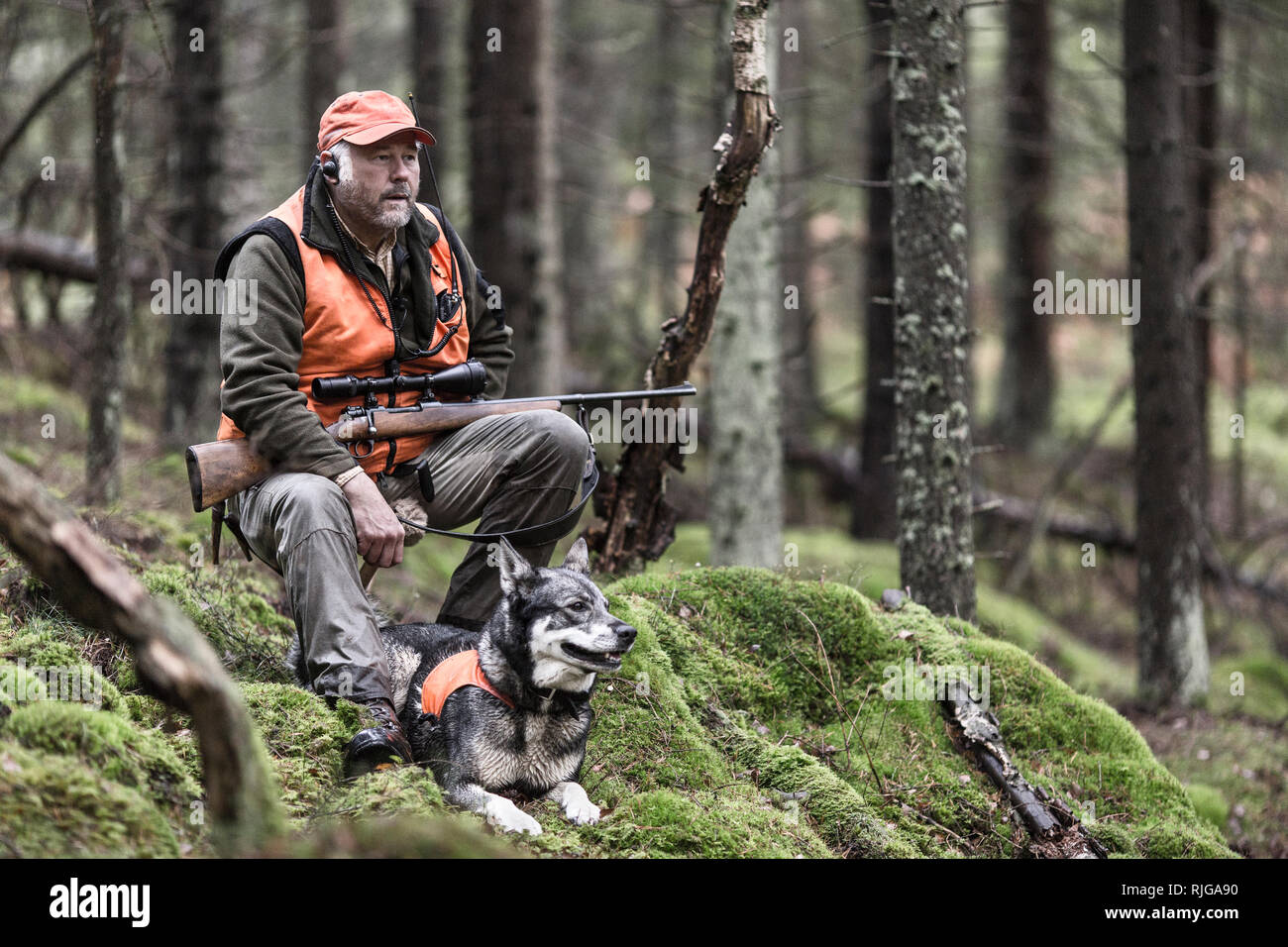 Cacciatore con cane in foresta Foto Stock