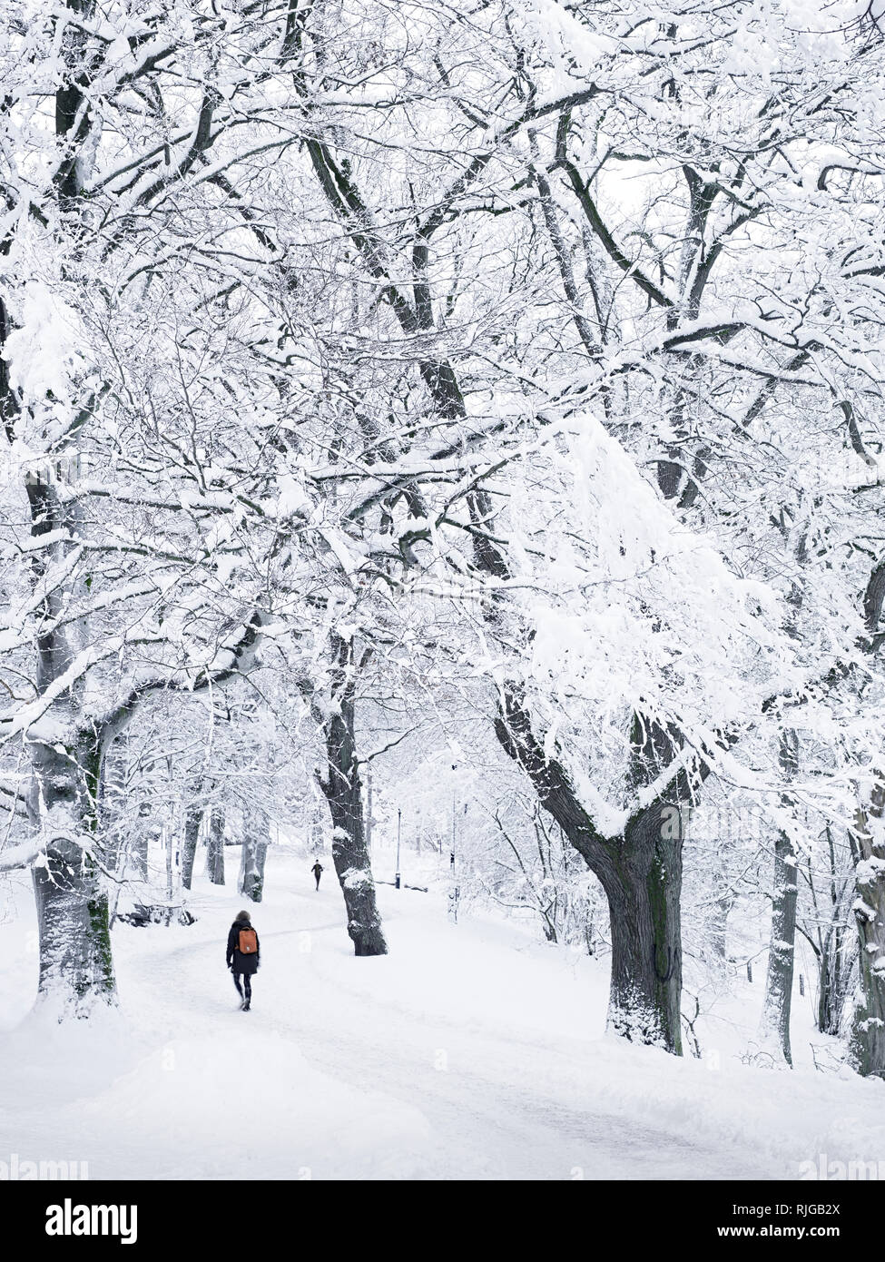 Persona a piedi attraverso il parco invernale Foto Stock