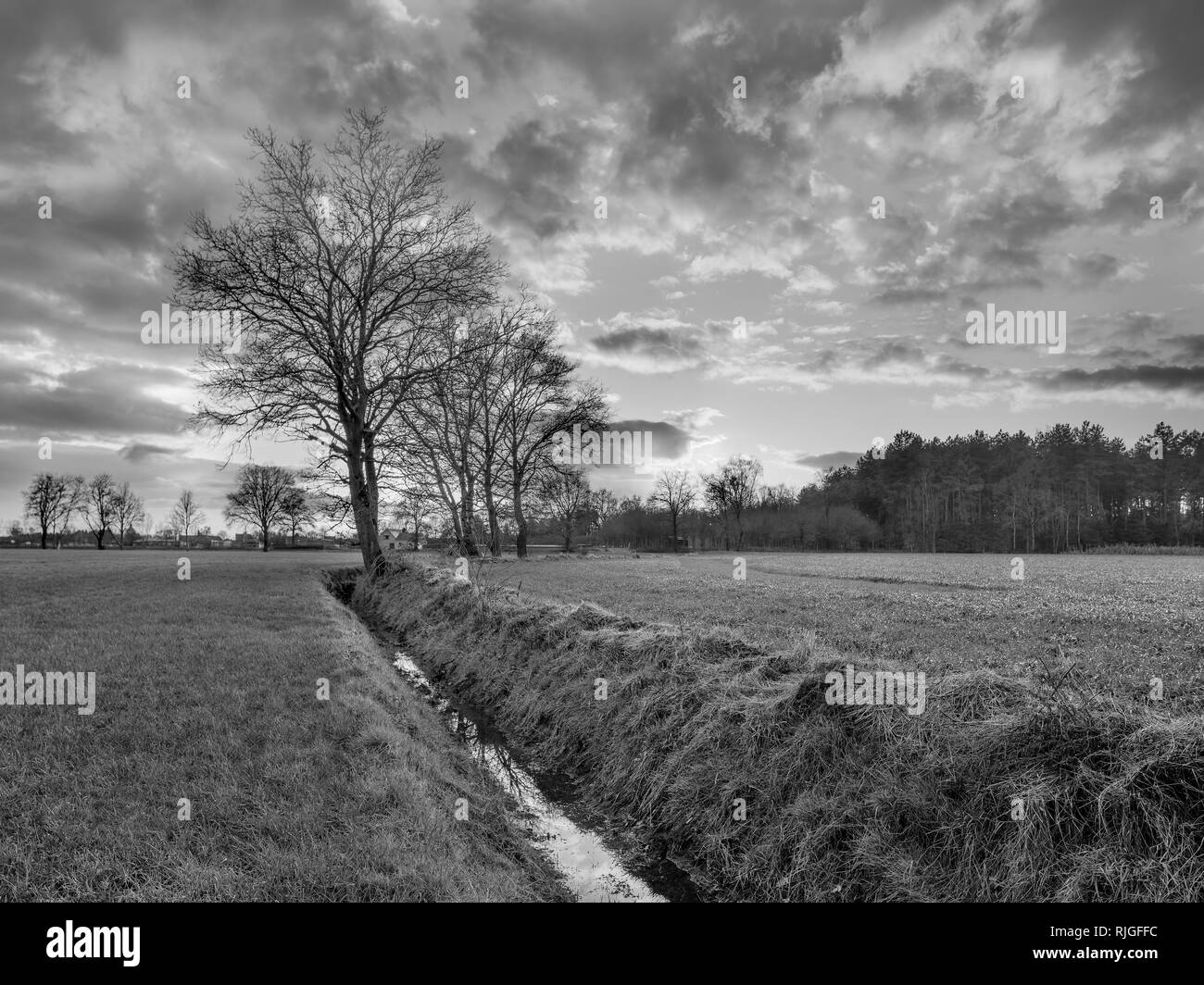 Paesaggio rurale, campo con alberi vicino a un fosso e al tramonto con nuvole drammatico, Weelde, Fiandre, in Belgio. Foto Stock