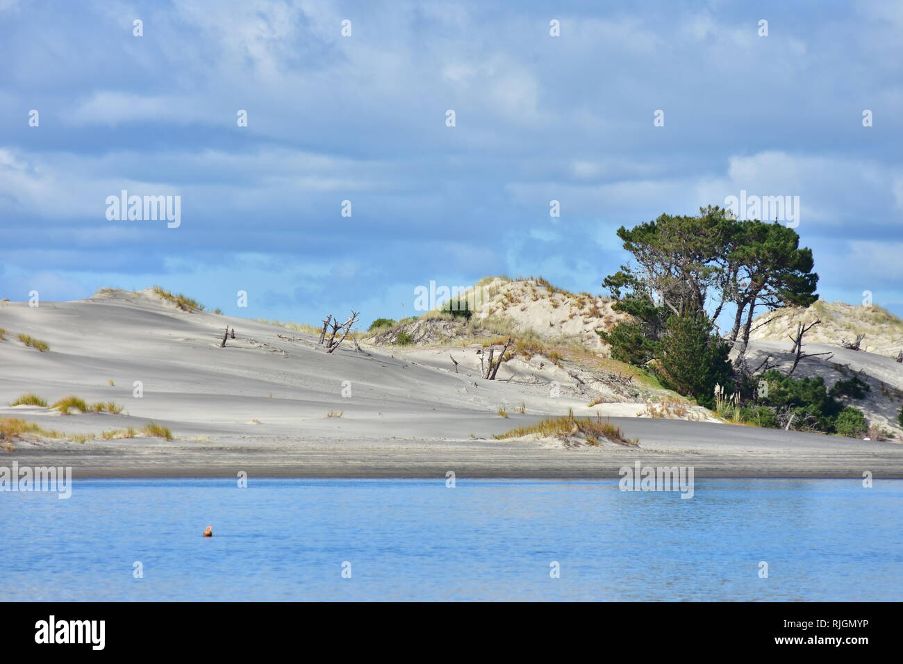 Strato di dune di sabbia con le patch per il recupero di bassa vegetazione nativa e gli alberi tra il cielo blu e acque calme superficie riflettente del cielo. Foto Stock