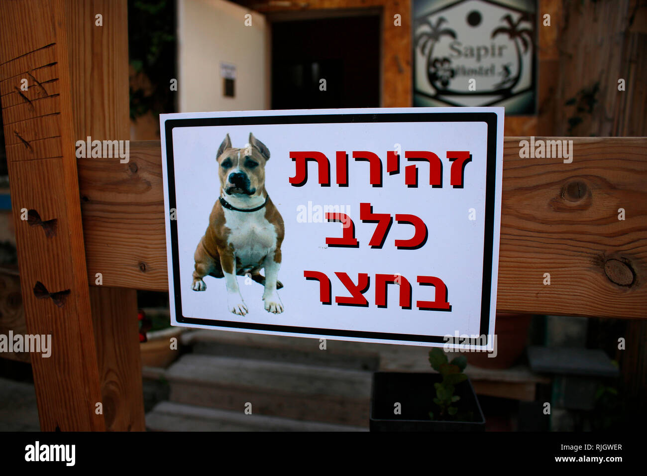 Warnung vor dem Hunde (Pitbull Terrier), Tel Aviv, Israele (nur fuer redaktionelle Verwendung. Keine Werbung. Referenzdatenbank: http://www.360-berlin. Foto Stock