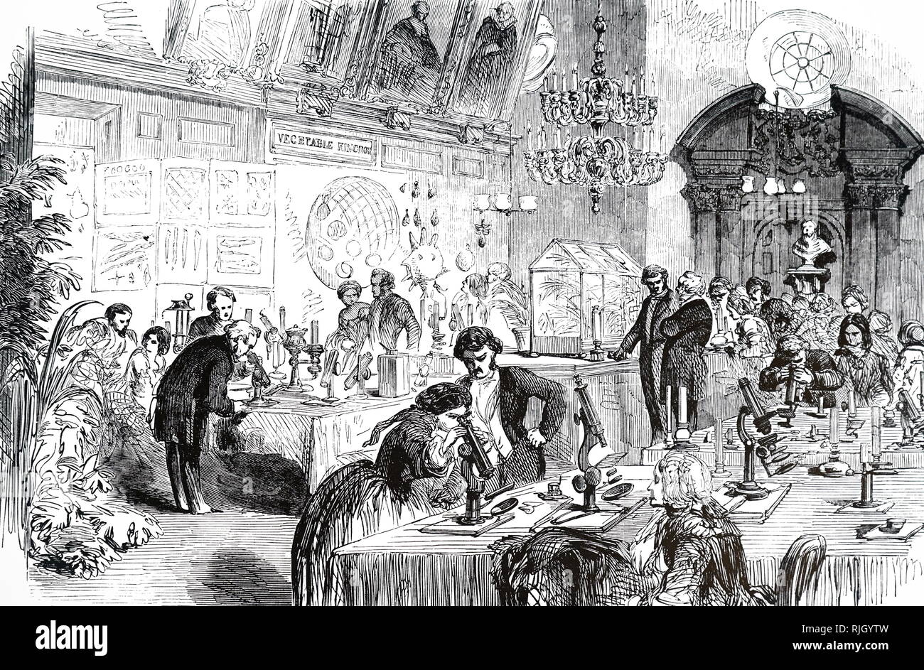Una incisione raffigurante la conversazione scientifica ad oncia Hall. Datata del XIX secolo Foto Stock
