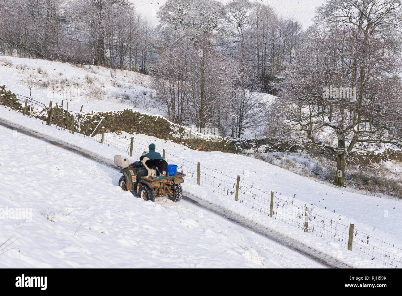 Coltivatore su di una moto quad con il suo Border Collie cane su un nevoso inverno mattina nella campagna britannica. Foto Stock