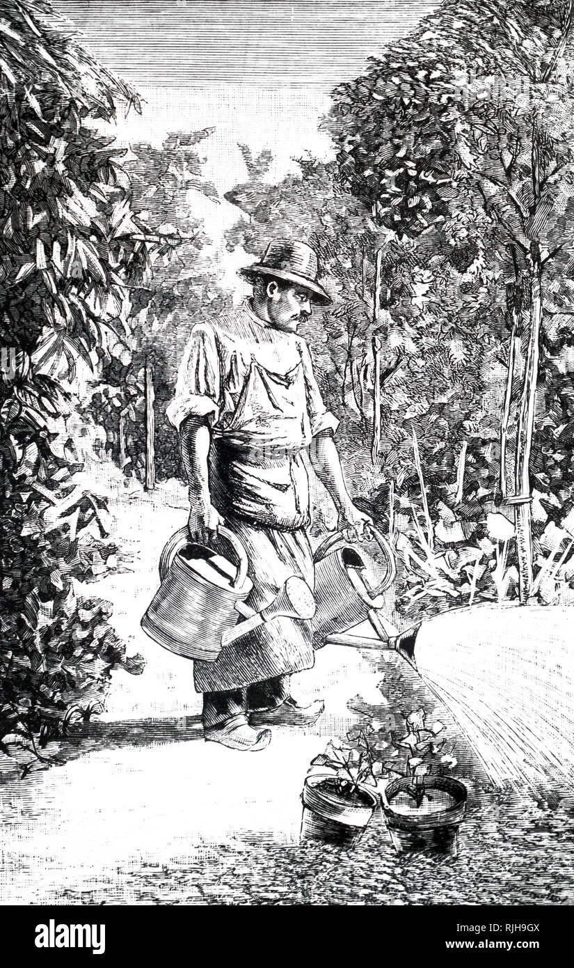 Una incisione raffigurante un giardiniere utilizzando innaffiatoi. Datata del XIX secolo Foto Stock