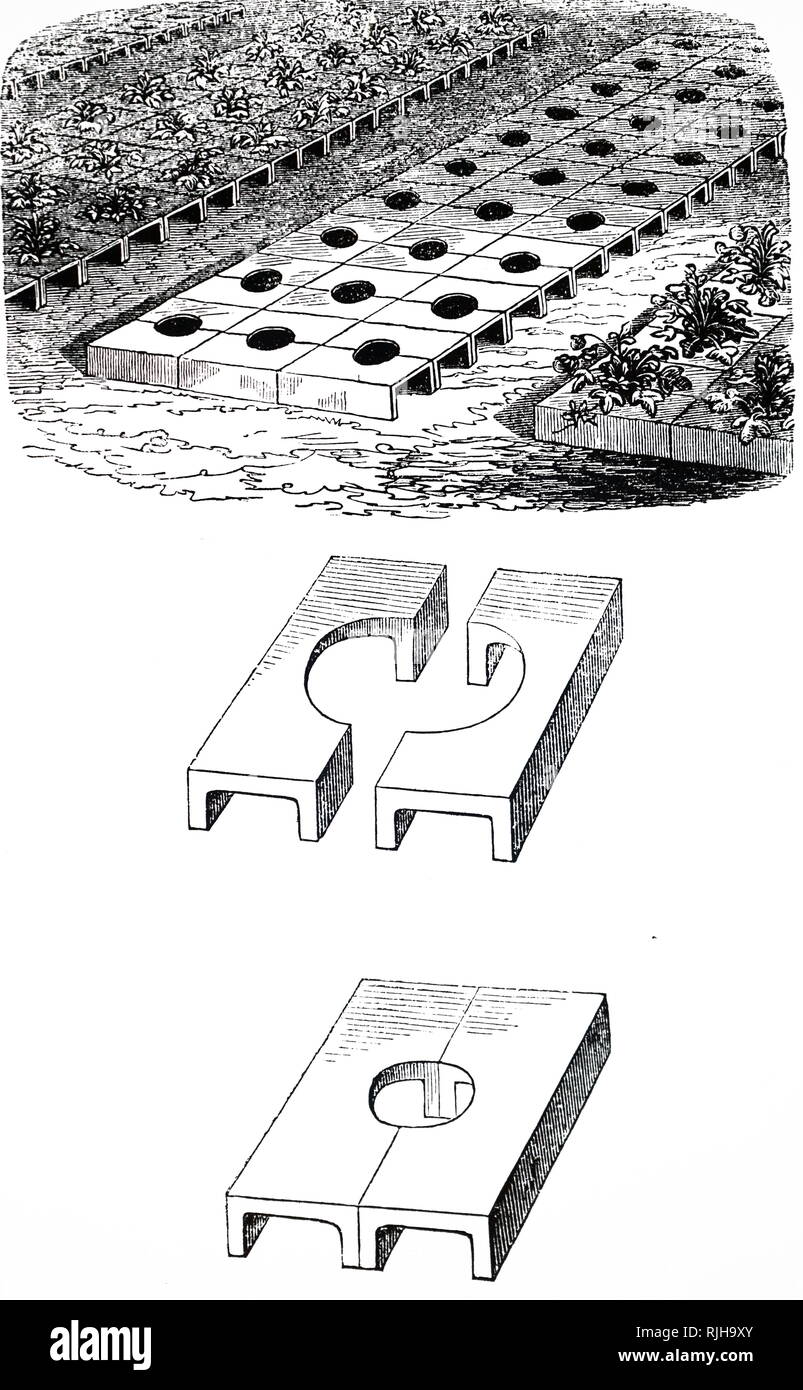 Una incisione raffigurante ceramiche piastrelle di fragola - Disegnato da John Roberts, Eastcheap, Londra. Datata del XIX secolo Foto Stock