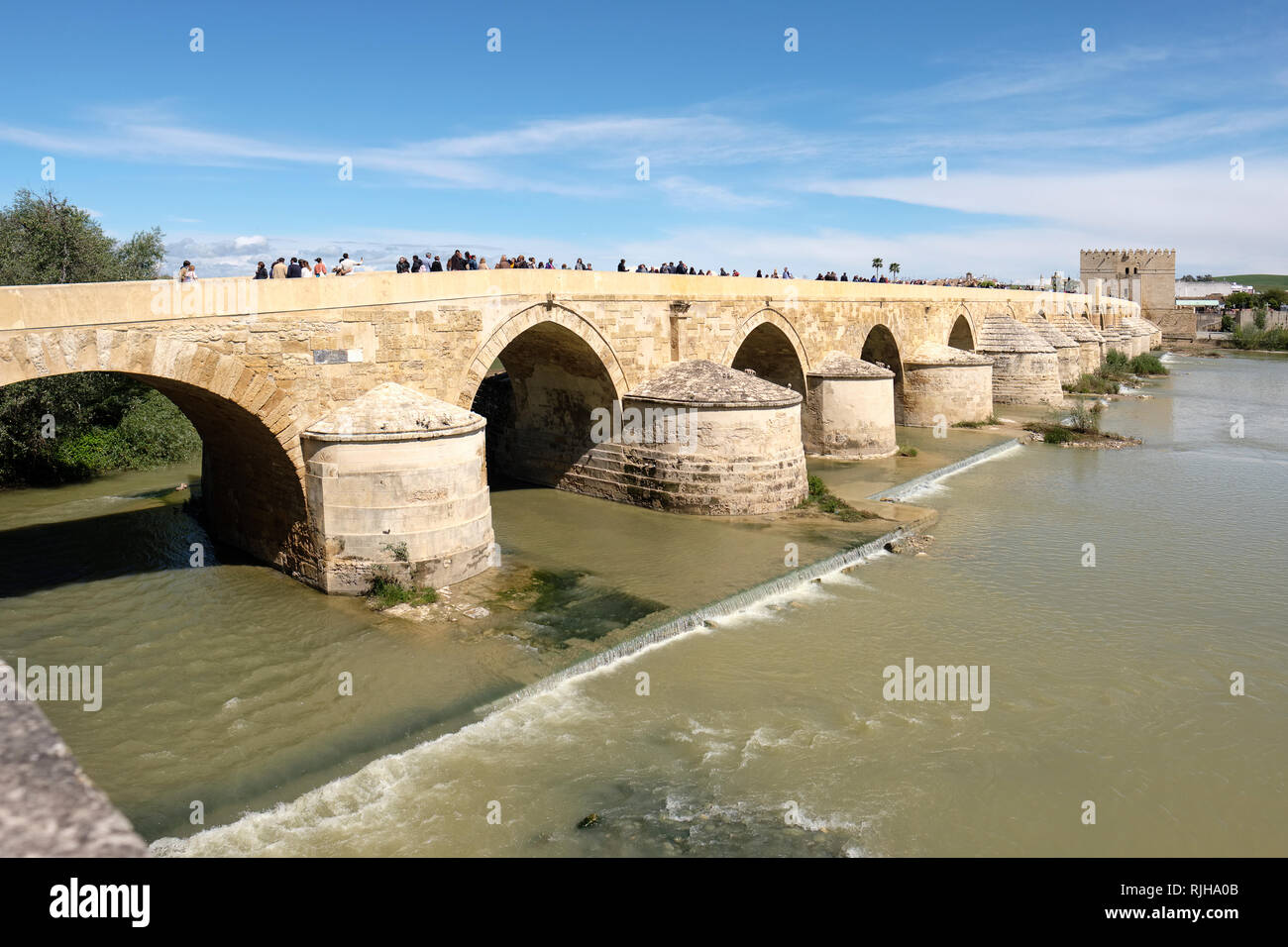 Romano i secolo ponte che attraversa il fiume Guadalquivir, torre di Calahorra in background, Puente Romano, Cordoba, Andalusia, Spagna, Europa Foto Stock