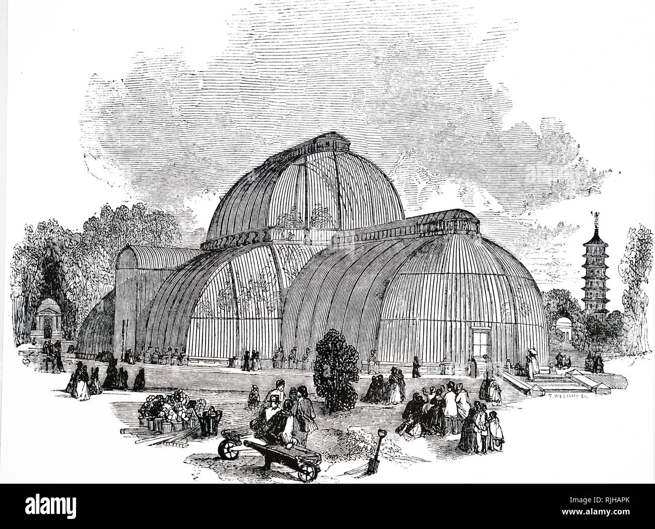 Una incisione raffigurante la casa delle palme, una serra che è specializzato per la coltivazione di palme e altre piante tropicali e subtropicali, Royal Botanical Gardens di Kew Gardens. Datata del XIX secolo Foto Stock