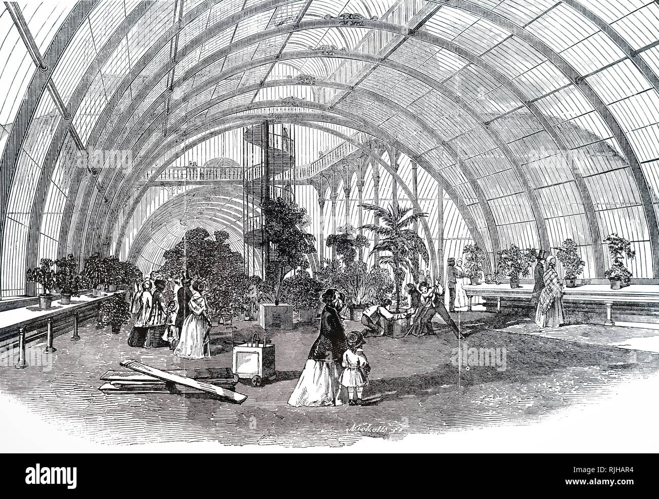 Una incisione raffigurante la casa delle palme, una serra che è specializzato per la coltivazione di palme e altre piante tropicali e subtropicali, Royal Botanical Gardens di Kew Gardens. Datata del XIX secolo Foto Stock