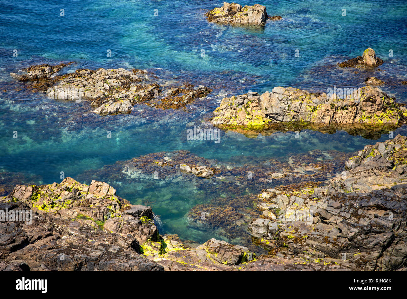 Sperone di roccia che mostra limpidezza del mare sulla costa di Alderney vicino a Roselle punto. Foto Stock