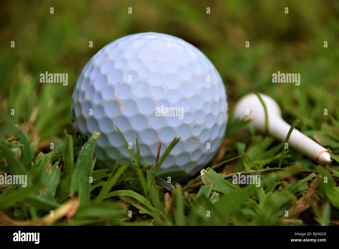 Palla da golf sul tee closeup dettaglio Foto Stock
