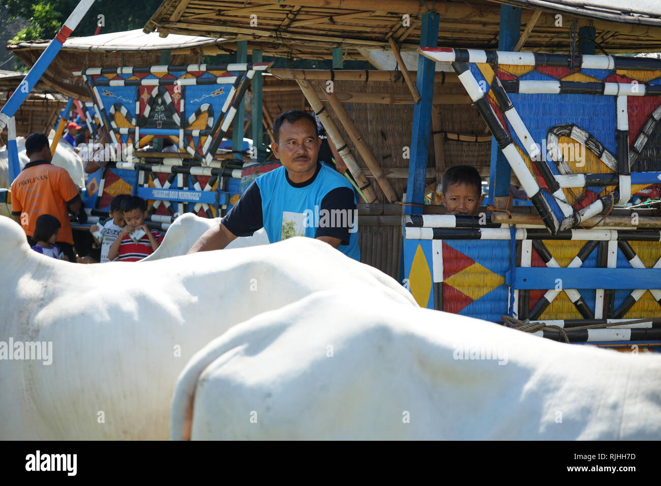 I proprietari di Sapi Gerobak, tradizionale Giavanese carrello vacca riuniti presso Jangkang mercato animale, Sleman, Yogyakarta ogni domenica mattina Foto Stock