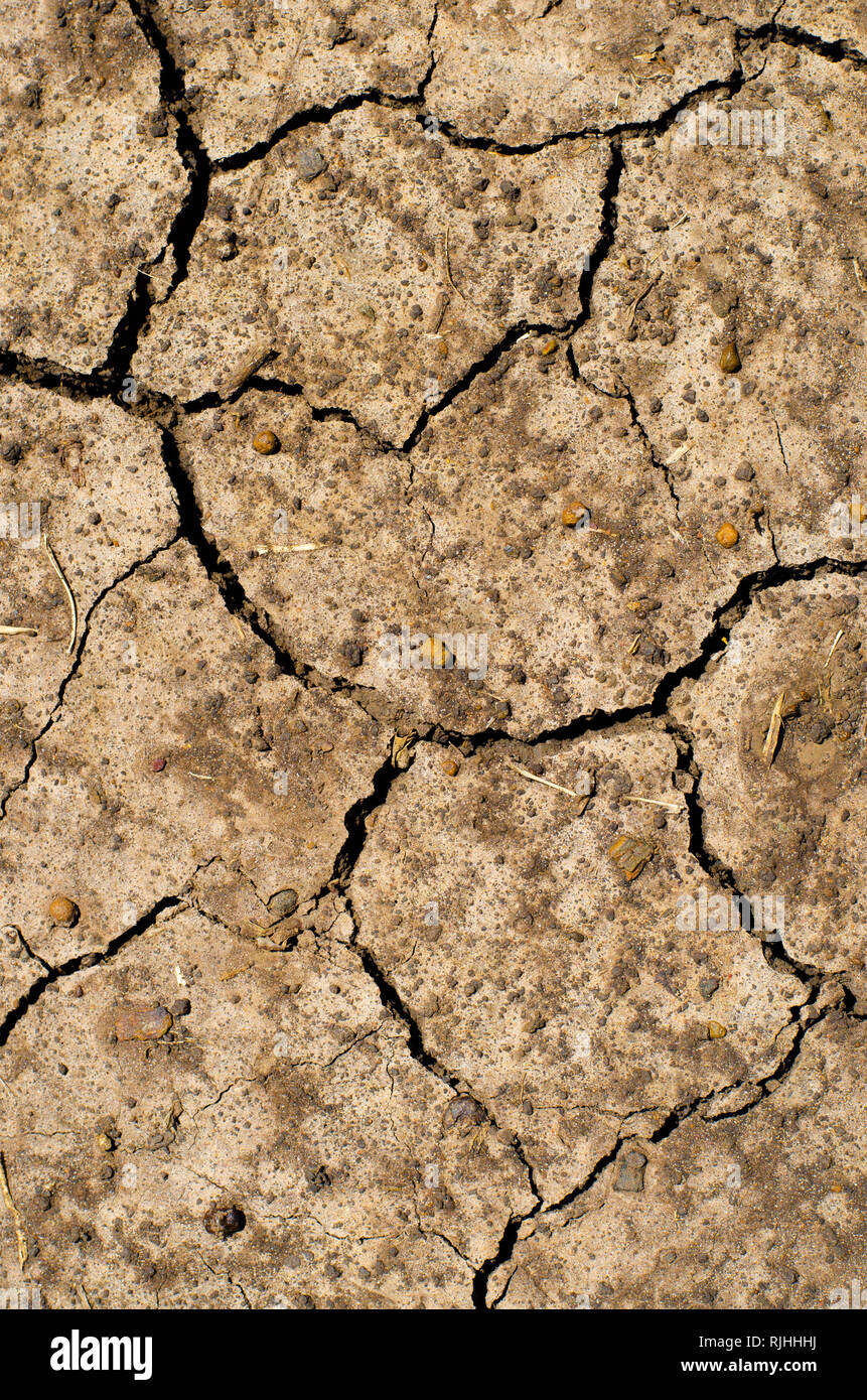 Le crepe e le fessure nella terra asciutta per creare bellissime, una  texture ricca di immagini Foto stock - Alamy