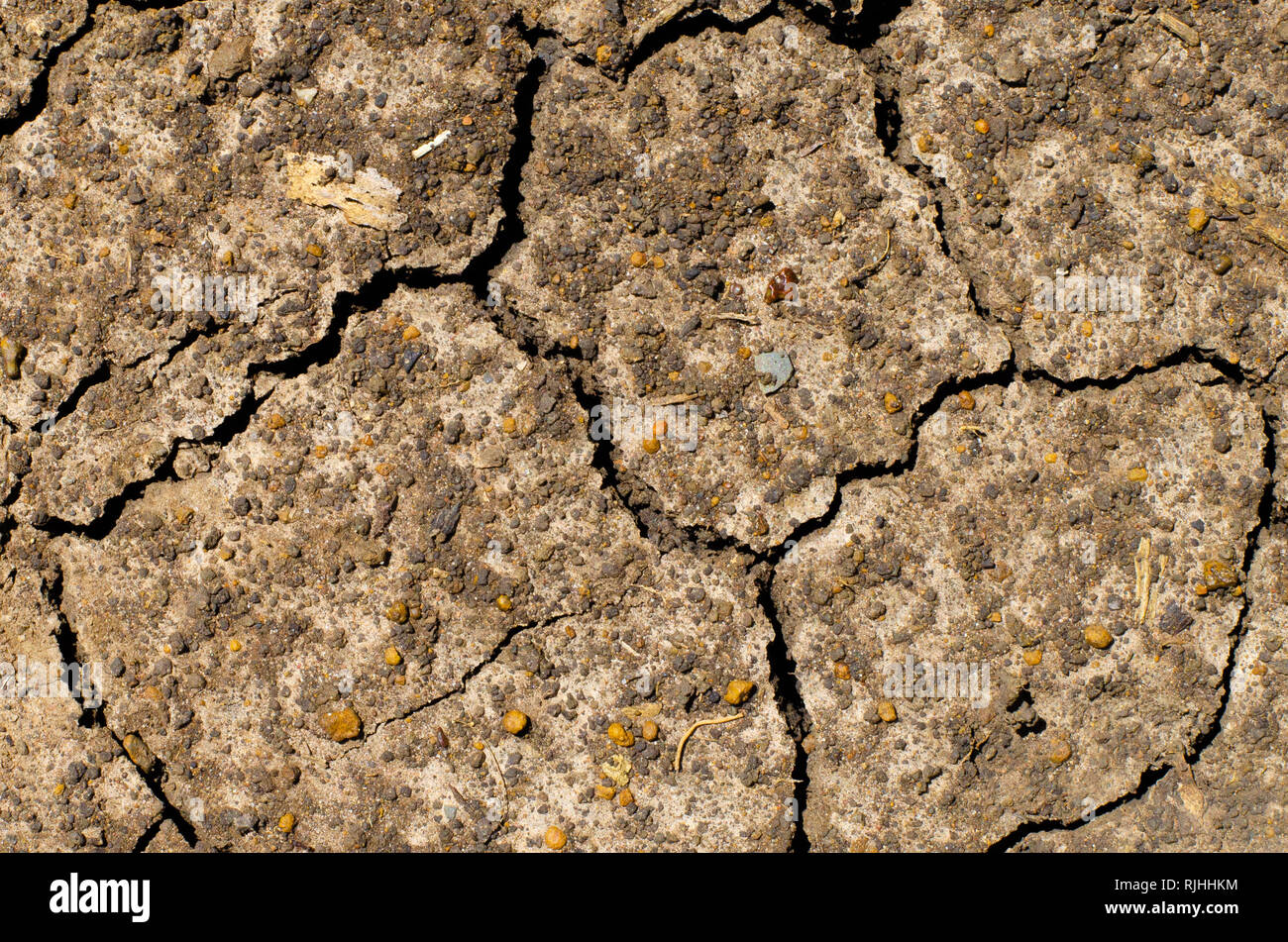 Le crepe e le fessure nella terra asciutta per creare bellissime, una texture ricca di immagini. Foto Stock
