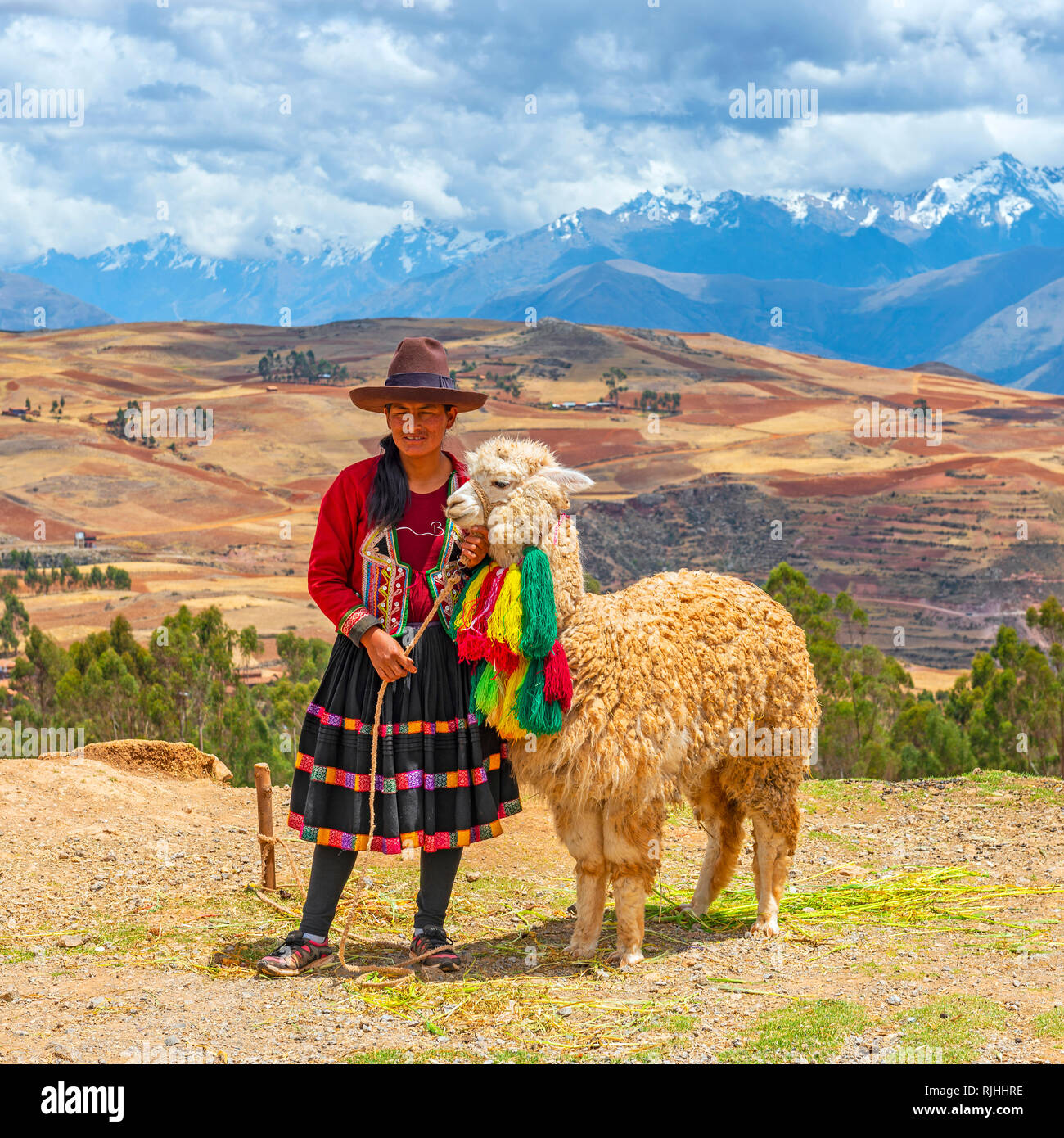 Square fotografia di un indigeno Quechua donna con cappello tradizionale e gonna insieme con gli alpaca e la Valle Sacra paesaggio vicino a Cusco, Perù. Foto Stock