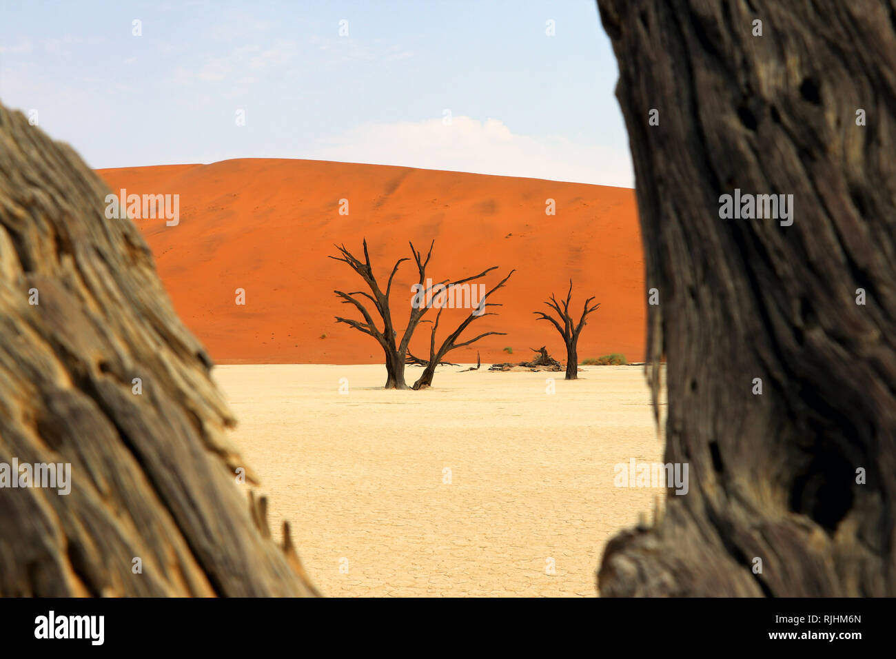 Deadvlei - Sossusvlei - Namibia Africa Foto Stock