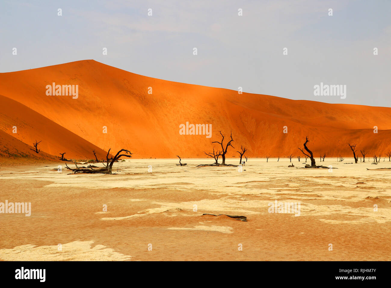 Deadvlei - Sossusvlei - Namibia Africa Foto Stock